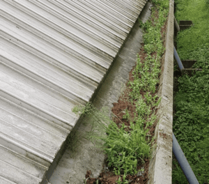 Happy customers in Wheatley who trust The Roof Moss Cleaners for gutter cleaning services