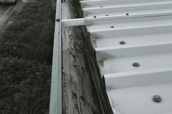 Commercial gutter cleaning specialists in Wheatley